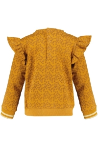 4President sweater Kiki cathay spice aop